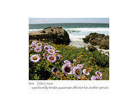 Monterey Coast with purple flowers
